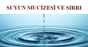 suyun-mucizesi-ve-sirri